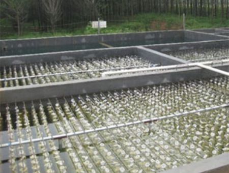 點擊查看詳細信息<br>標題：養殖污水處理 閱讀次數：4949